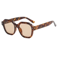Retro tortoiseshell wide-frame sunglasses with brown lenses and triple rivet accents - Tortoise Tea