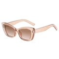 Cat eye sunglasses with transparent champagne frames and brown gradient lenses - Champagne Tea Gradient Tea