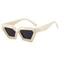 Chic cream white geometric polygon sunglasses with thick frame and black lenses - Beige Frame Gray Lens