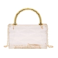Bolso caja transparente de acrílico con asa dorada de cuentas y textura diamante - Estilo 2 Transparente