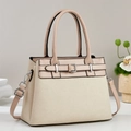 Detailansicht der Handtasche aus beigem Canvas und rosa Leder mit silbernen Metallschnallen - Aprikose