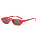 Red irregular cat-eye sunglasses with dark grey lenses and silver metal rings on the frame - Red Frame Grey Lens
