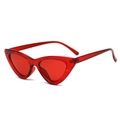 Lunettes de soleil œil de chat rétro avec monture en plastique rouge transparent - Rouge Translucide