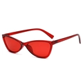 Translucent red cat-eye sunglasses with triangular resin frames and dark red lenses - Translucent Red