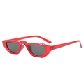Cat eye sunglasses in translucent red frame with dark grey lenses and silver metal rings - Transparent Red Frame Grey Lens