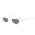 Transparent sunglasses with dark grey lenses and decorative metal rings on the frame - Transparent Frame Grey Lens