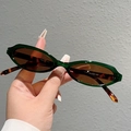 Vue détaillée de lunettes de soleil ovales rétro avec branches en écaille et dimensions - Monture Verte Trans Verre Thé Branches Léopard