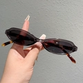 Retro ovale zonnebril met grijs doorschijnend montuur en pootjes met schildpadprint - Trans Grijs Frame Grijs Lens Luipaardpoten