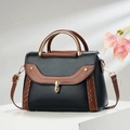 Sac à main élégant noir et marron avec poignée dorée et détails tissés sur le côté - Noir