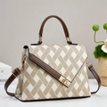 Fashion beige woven handbag with brown leather trim and golden metal swivel lock closure - Khaki