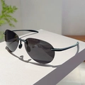 Gafas de sol polarizadas sin montura sobre un soporte blanco con hojas verdes - Montura Negra Lentes Gris Negro