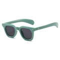Detail view of sage green retro sunglasses with golden metal accents and dark lenses - Green Frame Grey Lens