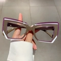 Dettaglio della montatura cat-eye geometrica irregolare in viola e marrone traslucido - Montatura Caffè Bianco Viola Asta Caffè