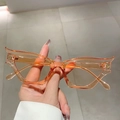 Occhiali da sole cat-eye irregolari con montatura arancione trasparente e design hip-hop - Montatura Champagne Lenti Tè Chiaro