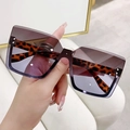 Frameless oversized sunglasses with leopard print frame and gradient purple lenses - Brown Blue Gradient