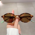 Retro tortoiseshell oval sunglasses with brown lenses and light green temple tips - Tortoiseshell Frame Tea Lens