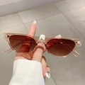 Detail view of champagne cat-eye sunglasses with gradient lenses and model number - Champagne Frame Light Tea Lens