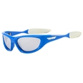 Occhiali da sole sportivi Y2K con montatura blu, lenti grigie e dettagli argento - Montatura Blu Lente a Specchio Stanghetta Bianca