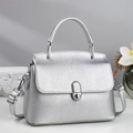 Chic silver crossbody bag with lychee texture and metallic lock shown in a studio set - Silver