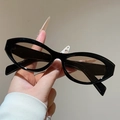 Detailed view of vintage black cat-eye sunglasses with polished frames and dark lenses - Black Frame Champagne Lens