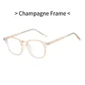 Lunettes rondes transparentes champagne en TR90 avec branches à armature métallique - Monture Champagne