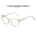 Cat eye glasses frame in transparent champagne color with stylish slim metal core temples - Champagne Frame