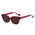 Lunettes de soleil rétro à monture violette avec verres bruns et détails rivetés - Monture Violette Verre Thé