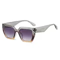 Big frame sunglasses with grey-tea gradient frame and purple-grey gradient lenses - Grey Tea Frame Gradient Grey Lens