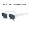 Square silver plated sunglasses with dark grey lenses and chunky modern frame - Silver Frame Grey Lens