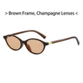 Fashionable oval tea frame sunglasses with champagne lenses and gold diamond pattern trim - Tea Frame Champagne Lens