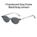Oval sunglasses with transparent grey frame, dark lenses and golden temple details - Transparent Grey Frame Grey Lens