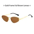 Vintage irregular metal sunglasses with gold frame and brown lenses for a stylish look - Gold Frame Brown Lens