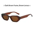 Gafas de sol retro con montura geométrica marrón oscuro y cristales marrones - Montura Té Oscuro Lentes Té