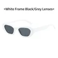 Retro small frame sunglasses with white thick frames and dark grey tinted lenses - White Frame Dark Grey Lens
