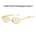 Vintage small oval sunglasses with metallic gold frames and champagne tinted lenses - Gold Frame Champagne Lens