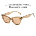 Cat eye sunglasses with translucent tea frames and champagne lenses for a retro style - Transparent Tea Frame Champagne Lens