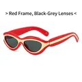 Trendy retro sunglasses with thick red frames, grey lenses and gold accents - Red Frame Dark Grey Lens