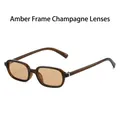 Gafas de sol rectangulares retro con montura marrón té y lentes en color champán chic - Marco Té Lentes Champán