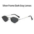 Schicke silberne Polygon-Metall-Sonnenbrille mit dunkelgrauen Gläsern und Rahmen - Silberner Rahmen Schwarzgraue Gläser