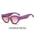 Occhiali da sole cat-eye retrò con montatura viola e lenti sfumate rosa tè - Montatura Viola Lenti Rosa Tè (C4)