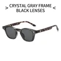 Kleine transparente graue Sonnenbrille mit Bügeln im Leoparden-Look und Metallnieten - Transparenter Grauer Rahmen Graue Linse