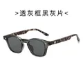 Small frame transparent grey sunglasses with leopard print temples and metal rivets - Transparent Grey Frame Grey Lens