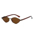 Gafas de sol poligonales irregulares con montura de metal y lentes de té - Montura Gunmetal Lentes Té