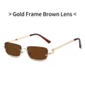 Retro small square sunglasses with gold metal frame and tinted tea lenses - Gold Frame Tea Lens