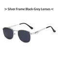 Silver metal frame sunglasses with dark grey lenses and spring hinges for men and women - Silver Frame Black Grey Lens