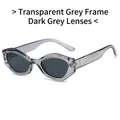 Gafas de sol ojo de gato montura gris transparente con lentes oscuras y metal - Montura Gris Transparente Lente Gris
