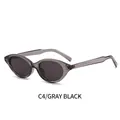 Occhiali da sole cat-eye con montatura grigia trasparente e lenti grigio scuro, C4 - Montatura Grigia Lenti Grigie