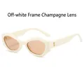 Lunettes de soleil cat-eye polygonales avec monture crème et verres champagne élégants - Monture Blanc Crème Verre Champagne