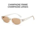 Retro champagne oval sunglasses with transparent frames and light brown tinted lenses - Champagne Frame Champagne Lens