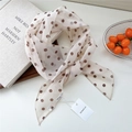 Elegante sciarpa di seta bianco sporco a pois marroni con design a nastro sottile - Pois Beige (04be)